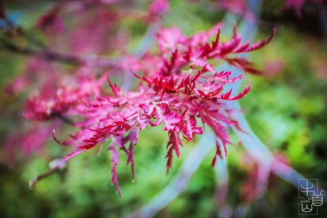 牛首山佛顶宫与古鸡鸣寺,带您朝拜南京牛首山佛顶宫