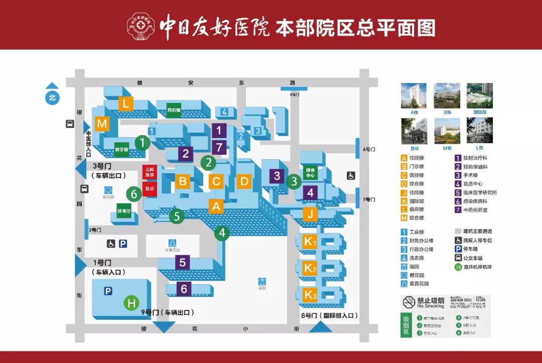 中日友好医院专家贾立群治愈癌症,中医贾立群真的很厉害吗