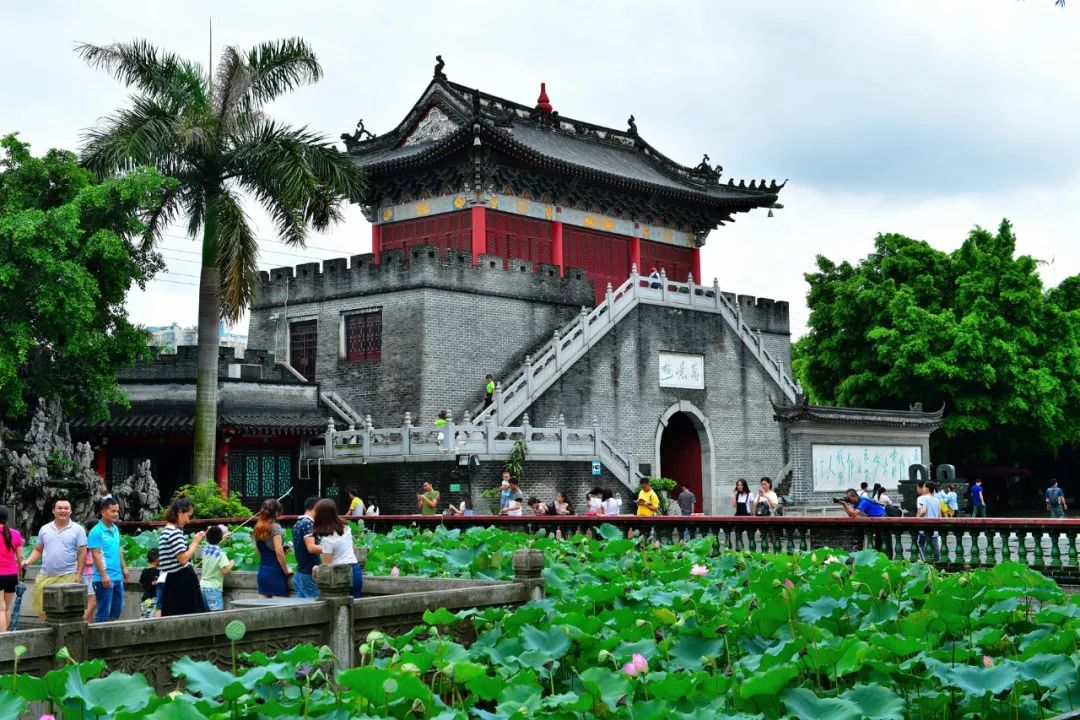 这里是新桥小学,这里是新桥