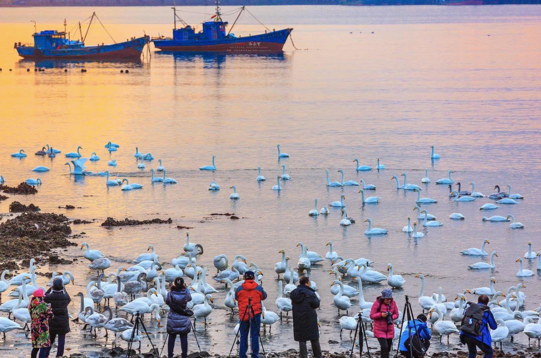 最具幸福感的县级市中唯一一座上榜的北方小城，光是海鲜就能吃到你激灵！