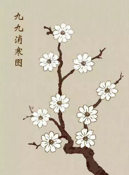 冬至一阳生艾灸正当时图片,冬至阴极而阳生