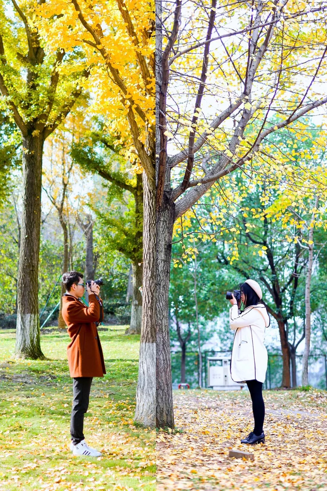“妈，我在华师看了一场金黄色的雪！”