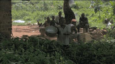 室内灭蚊子杀虫剂还是电蚊香液,家里没有蚊香灭蚊虫最简单的办法