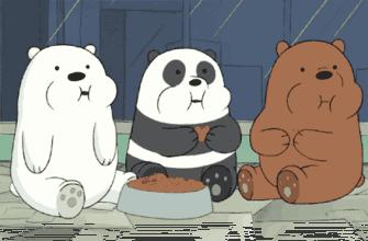 术后患者、肿瘤患者真的不能食用发物吗？发物究竟是什么？