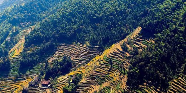 湖南县域旅游经济100强,湖南县域旅游排行榜