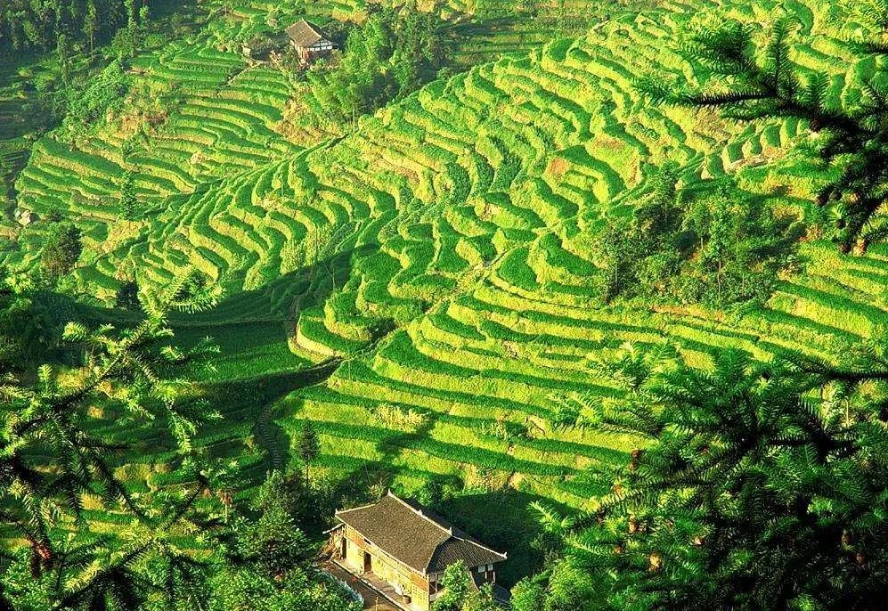 湖南县域旅游经济100强,湖南县域旅游排行榜