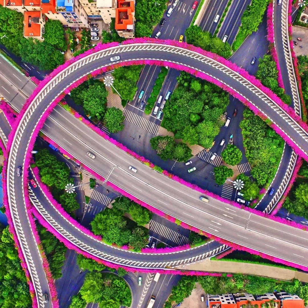 什么是广州市区,什么是桃子女孩