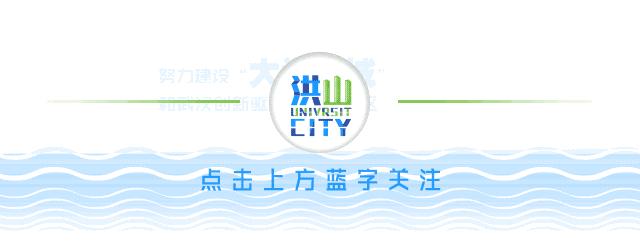 杨春湖社区足球场,洪山区武汉足球主题公园