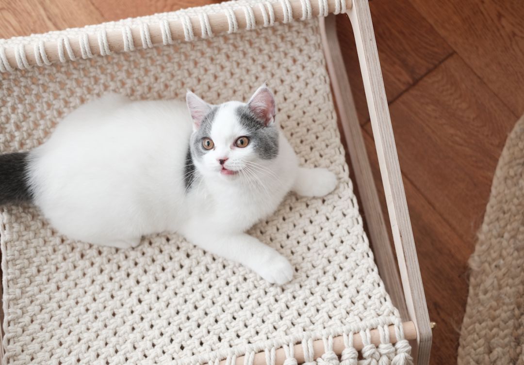 请接受一份2018年的礼物,2018年的新年礼物