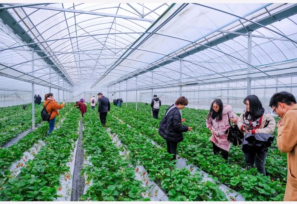 划重点｜鼓励农业科研人员到企业兼职兼薪“名利双收”