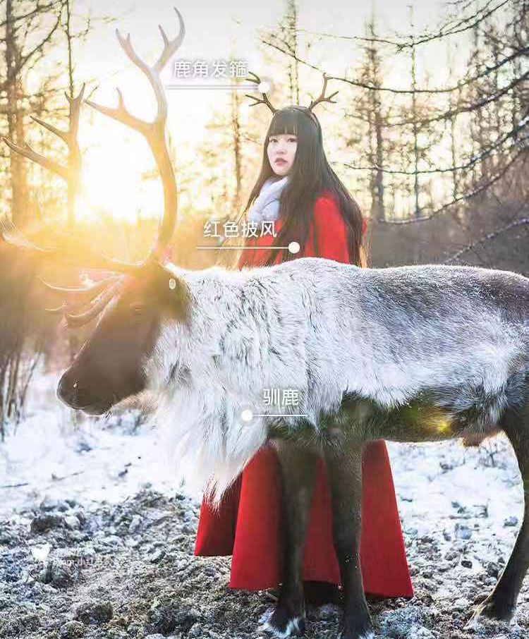 2018的我浪不动了，2019还是可以期待一下的