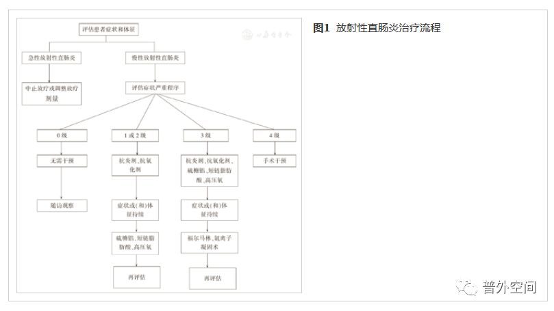 中国放射性直肠炎诊治专家共识（2018版）（中）