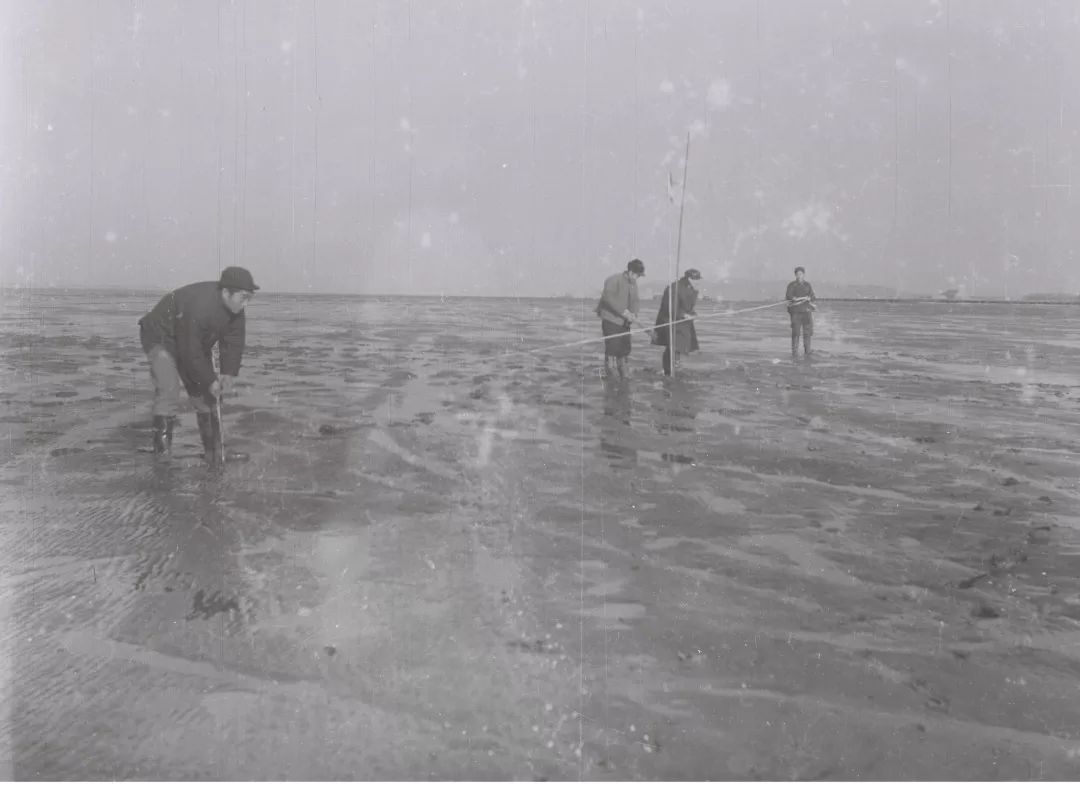 中船澄西船舶修造有限公司搬迁,中船澄西建厂50周年直播回放