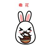 贵阳近5年百强城市排行榜,厉害了贵阳一中