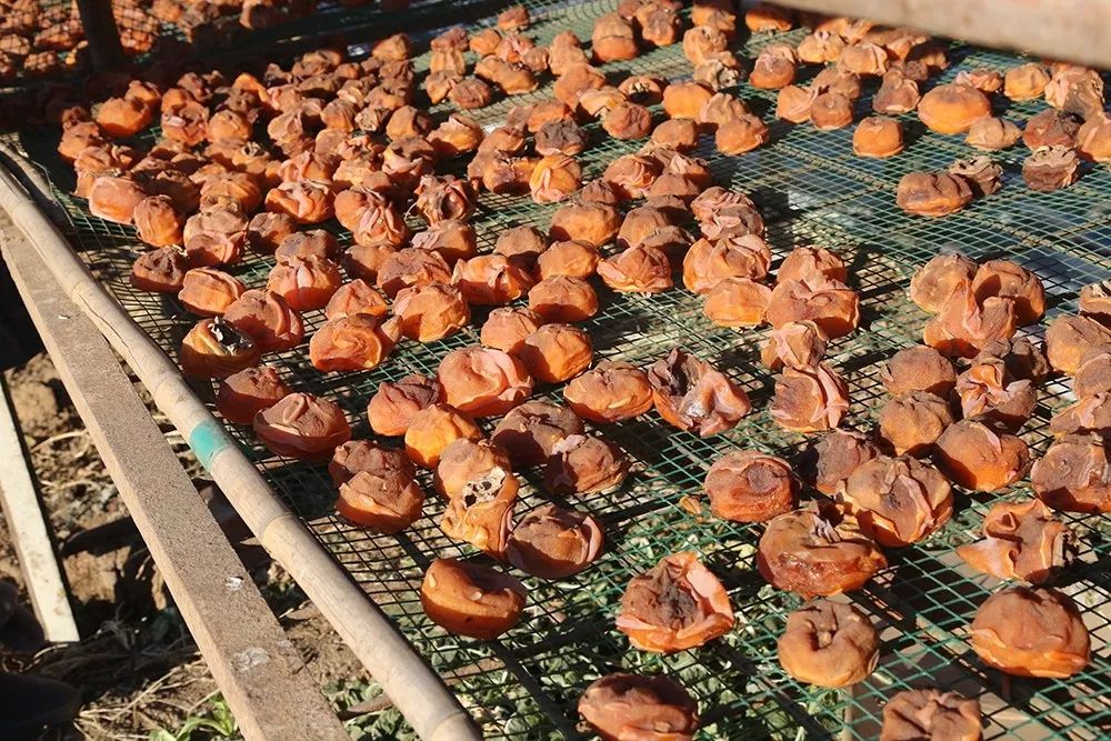 玩的地方推荐三天游,附近旅游攻略三天游