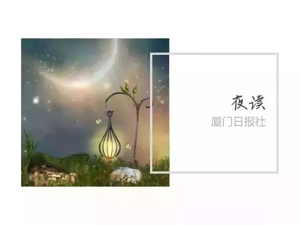 夜读|绝不低头的牛蒡花，你见过吗？