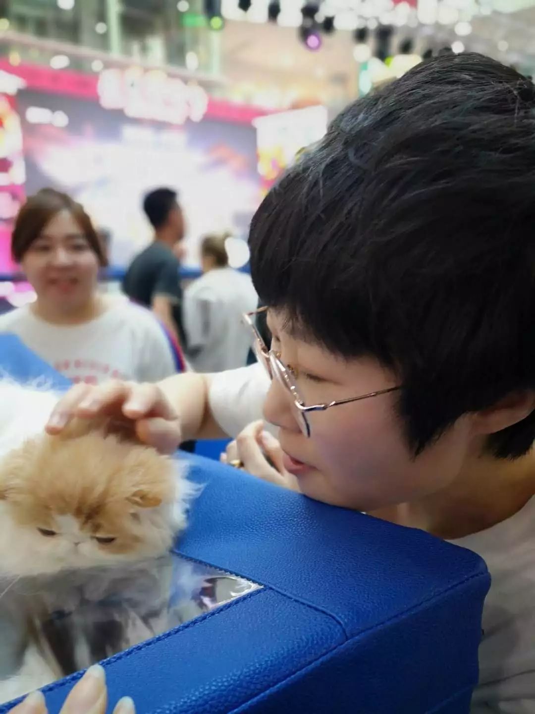 新闻综合广播｜「宠爱有家」之喵星驾到