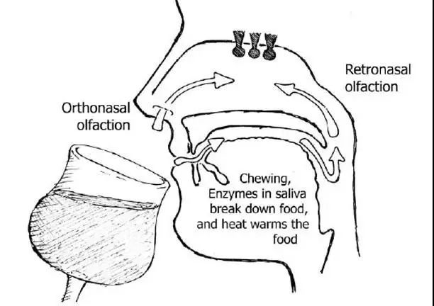 咖啡里最冷的段子,咖啡最冷的段子