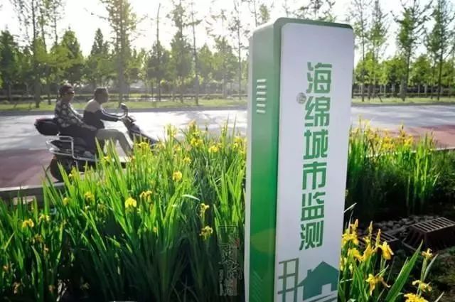 就在刚刚，传来一份近千万西安人的年度总结，内容过于真实……