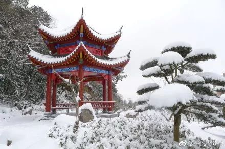 一个石首吧友的新年梦