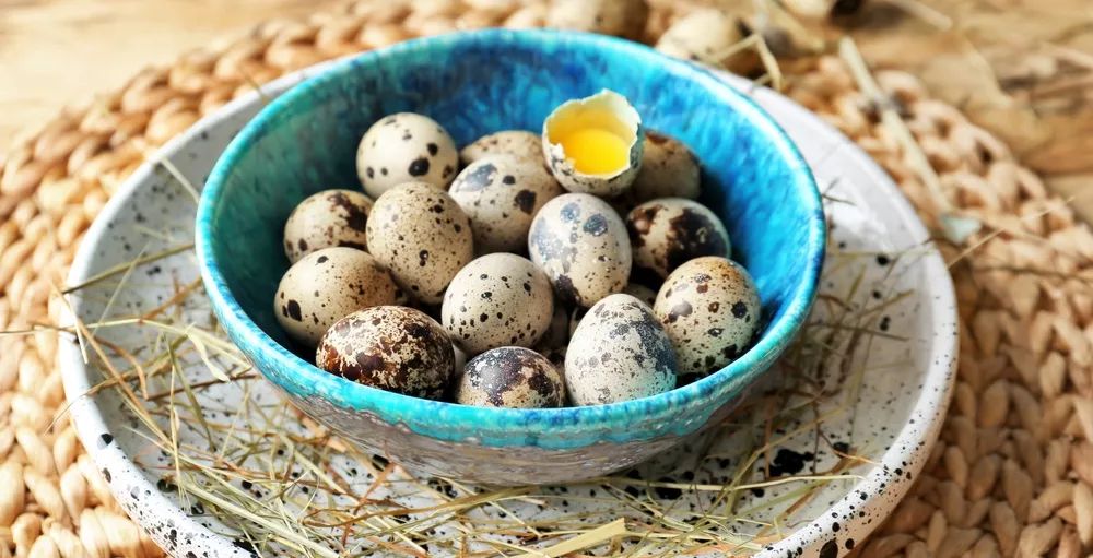 鸡蛋鸭蛋鹌鹑蛋一千克分别多少个,鸡蛋鸭蛋鹅蛋鹌鹑蛋哪个更安全