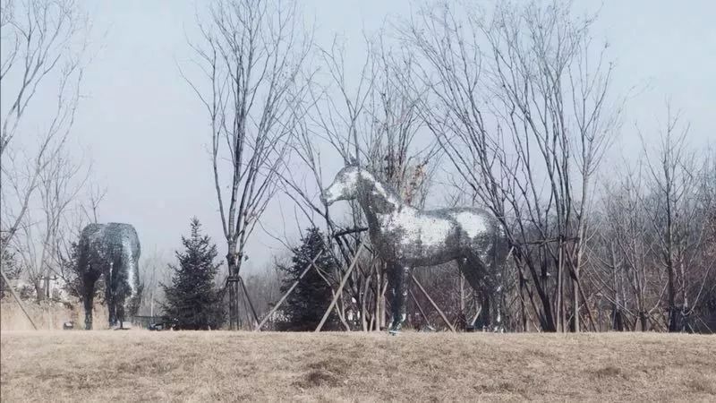 阿那亚跨年推荐去吗,阿那亚跨年之旅