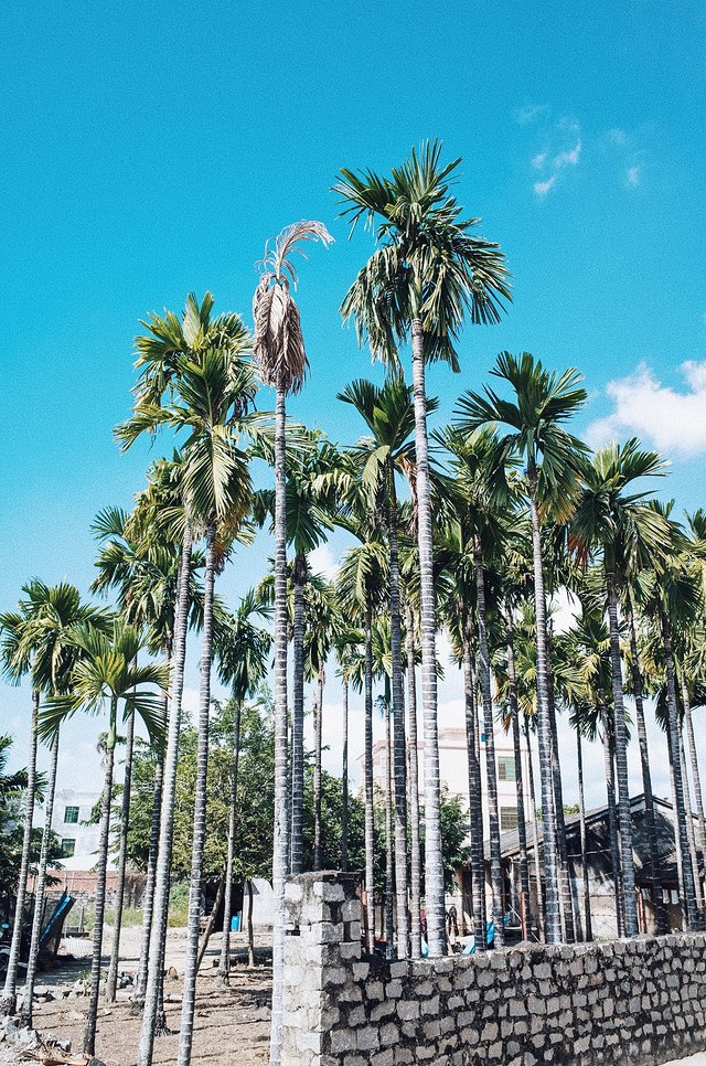 三亚崖州旅游攻略最新,三亚攻略自由行崖州