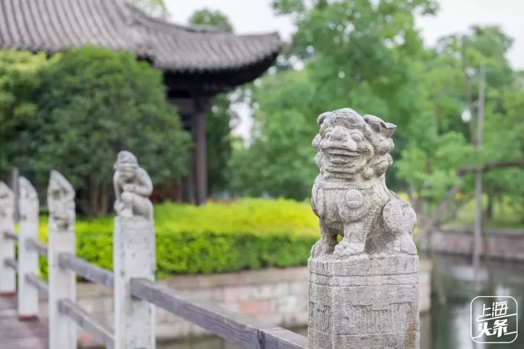 去处｜个记结棍了！上海这个古镇被国家点名，目测要火！