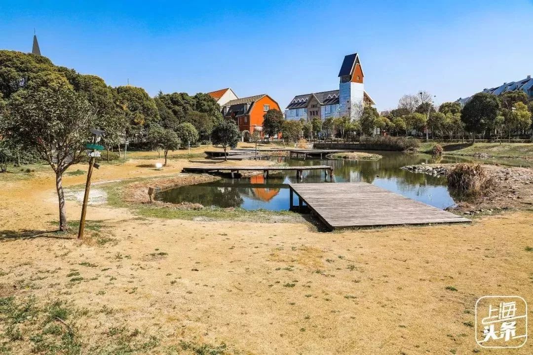 去处｜个记结棍了！上海这个古镇被国家点名，目测要火！