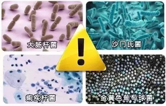 艾草抗菌裤,艾草养生抗菌导湿裤