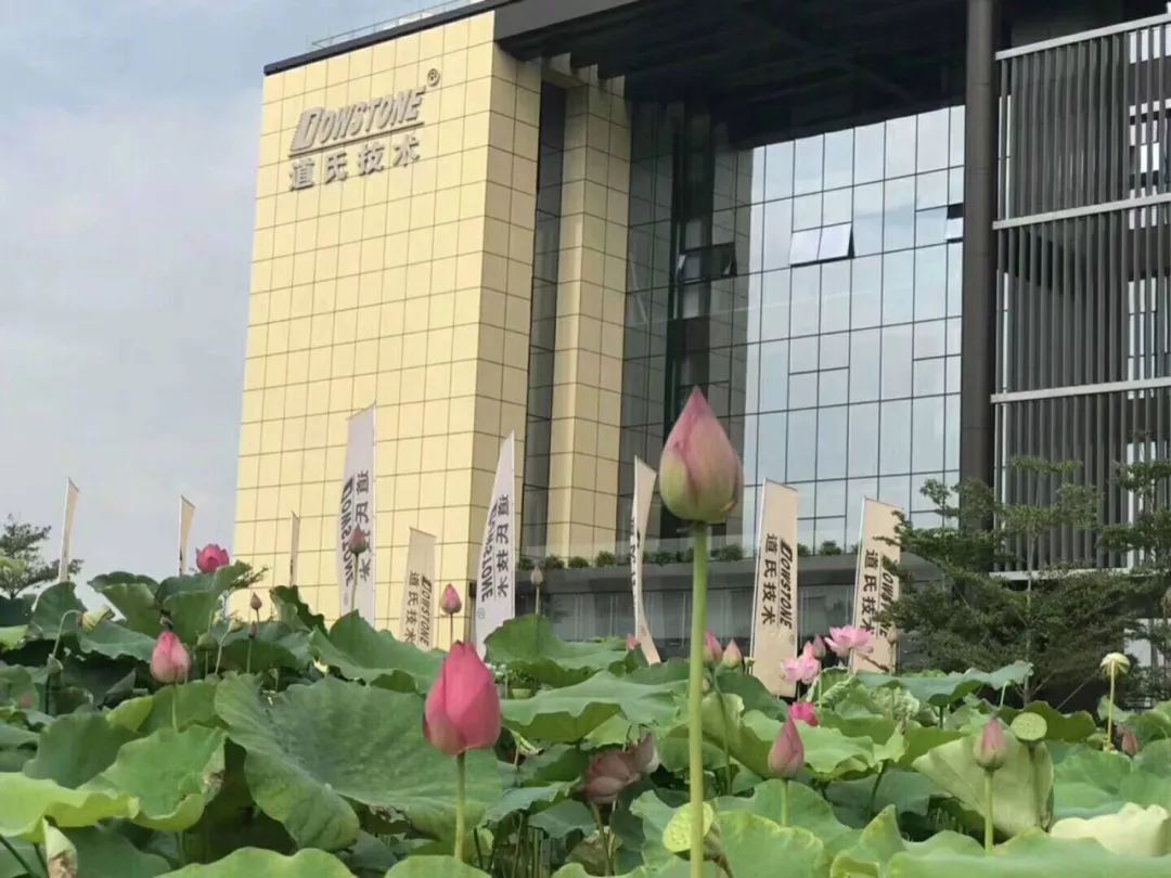 浜嬪叧浣犳垜,浜嬪叧浣犵殑澶寸瓑澶т簨