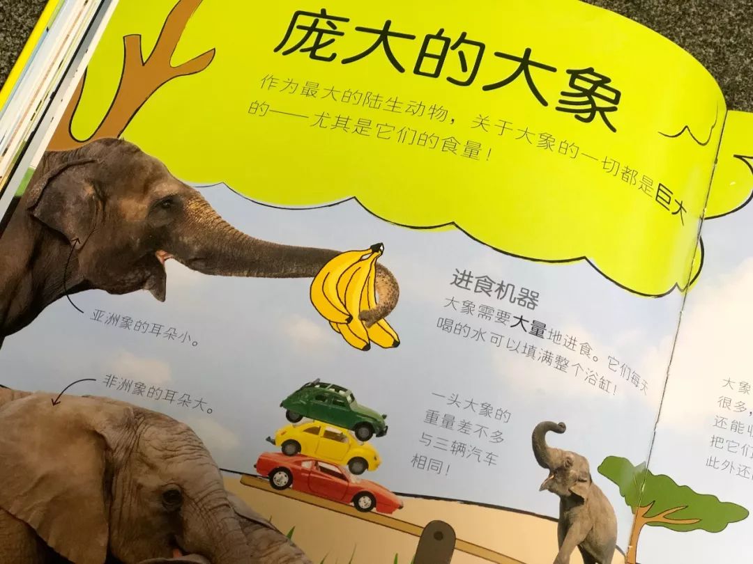 现在的孩子真是不知道怎么想的,现在的孩子真的是脑洞大开