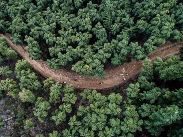 这就是中国2018年,2018新华社国际年度照片