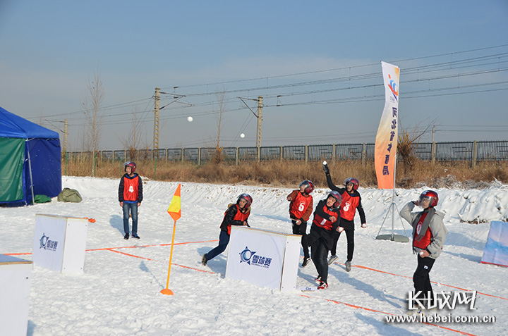 衡水：小雪球带来大乐趣