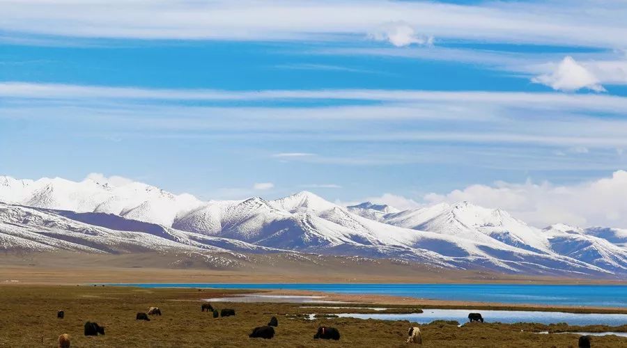 一定要收藏的十大免费景点排行榜,值得一游的免费景点