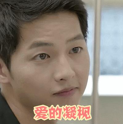 新手小白最值得入手的腕表推荐,新手入门这三款基础腕表值得一看