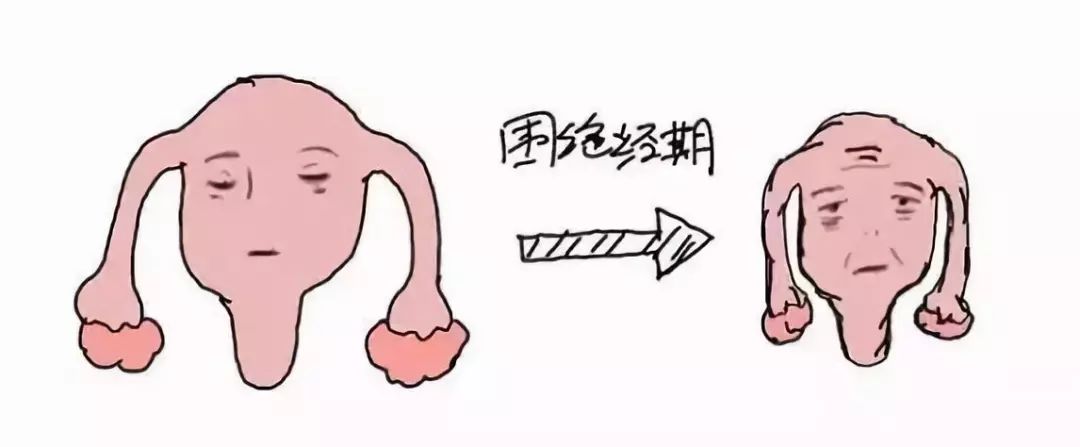 围绝经期综合征药物治疗试题,围绝经期保健指导有哪些