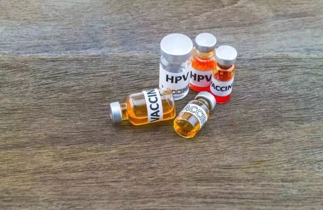 【提醒】终于等到！九价HPV疫苗在淄博可预约接种啦！价格是……
