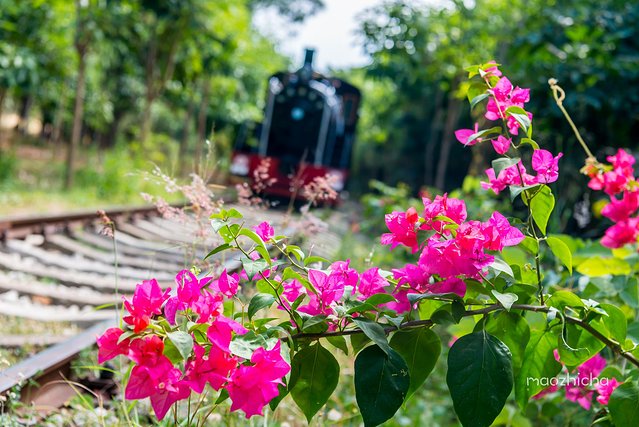 五天四晚三亚自驾,五天四晚三亚旅游路线