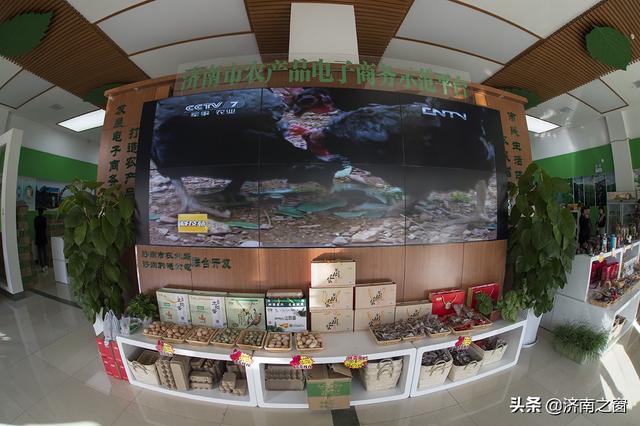 济南养猪第一人,济南电商前十名