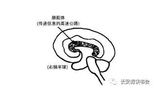 吉尔泰勒自述开悟经历,吉尔泰勒书籍