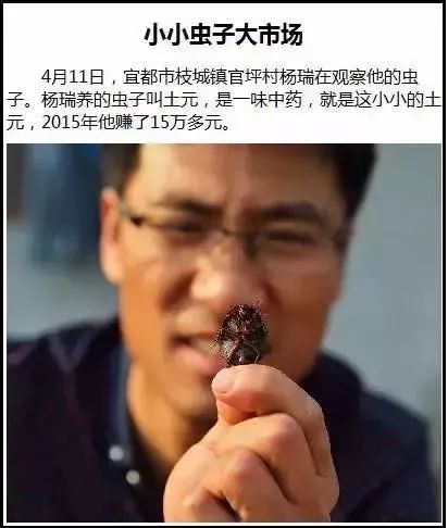 农村不可思议的东西,不可思议的新疆手工艺品