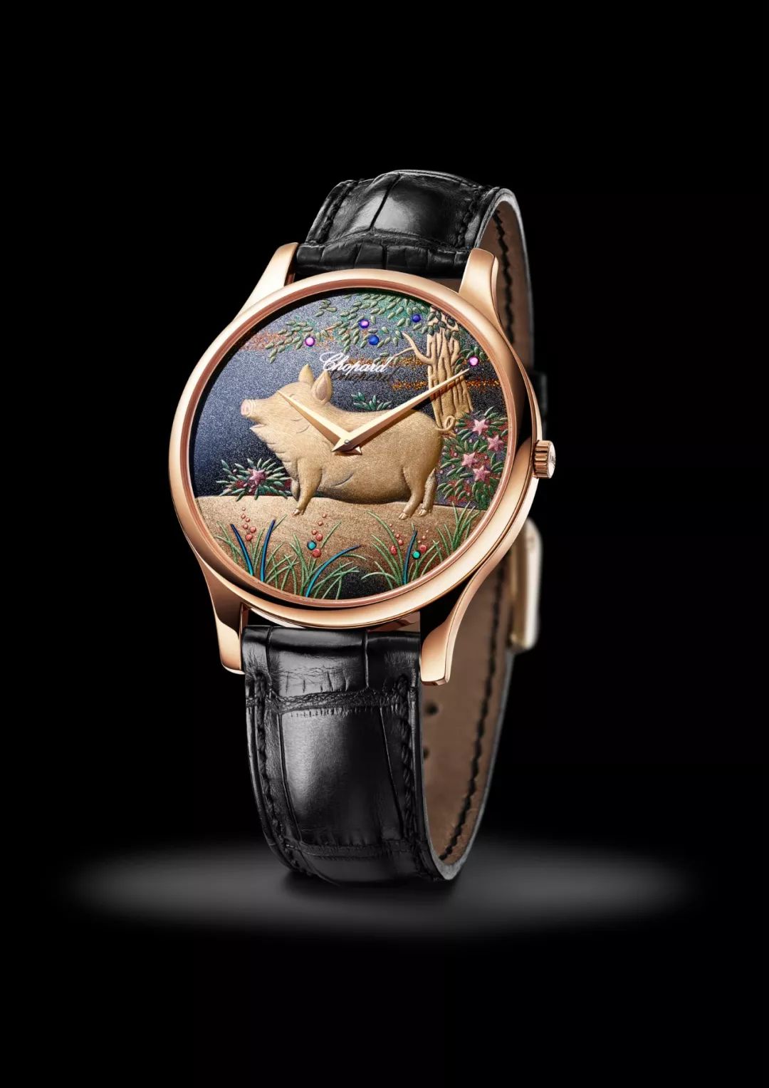 大牌猪年限定视频,猪年限定集合