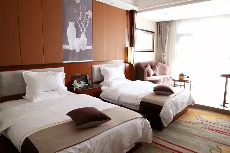 元江高端酒店有哪些,元江经济型酒店推荐