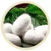 脚后跟干裂修复霜去死皮,脚干裂脱皮修复霜