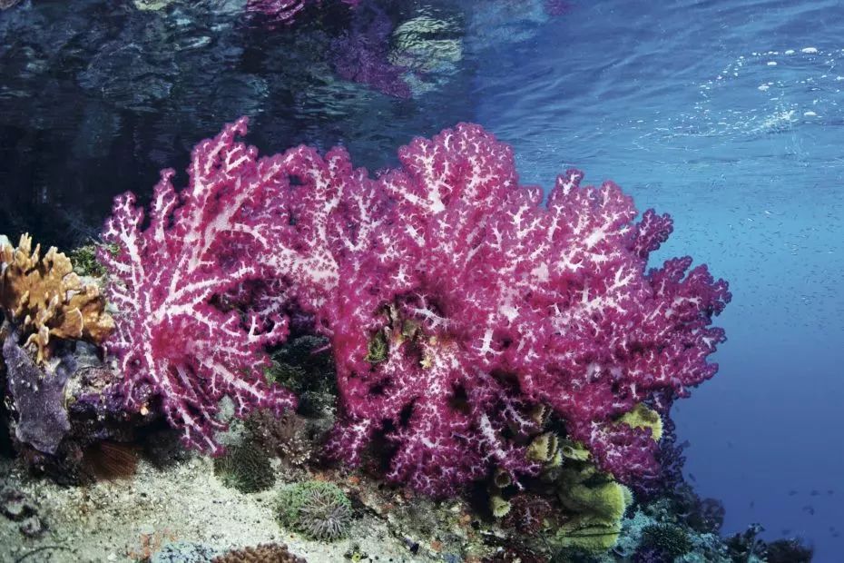 这些熟悉的酒店logo，背后的故事你知道吗？