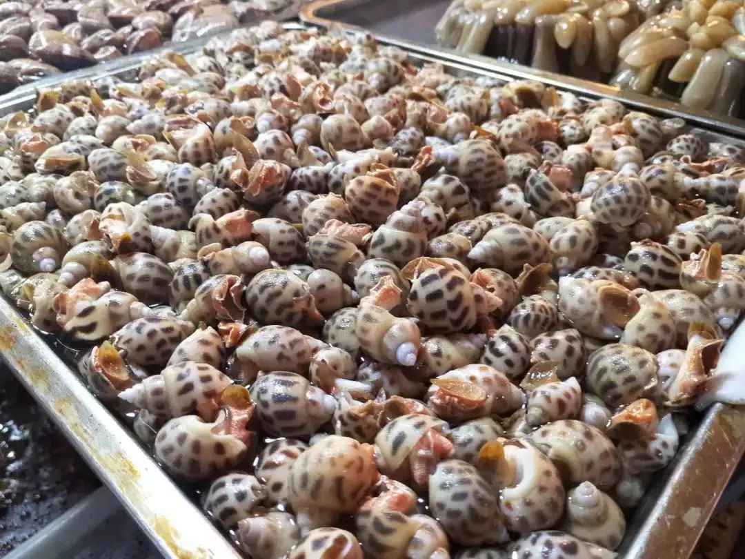 不认识这些海鲜，还敢说吃遍三亚？“三亚发布”能查海鲜限价哦～