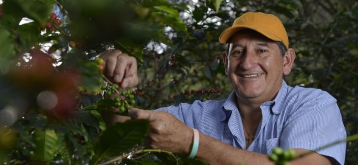 中国最大的咖啡种植产区,亚洲的咖啡产区特点