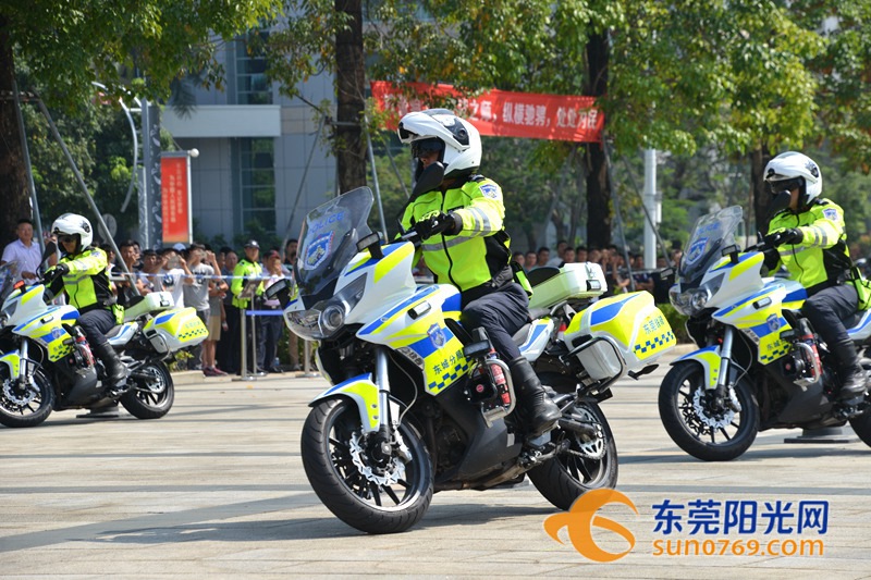 东莞2024年十件民生实事,东莞民生实事办理