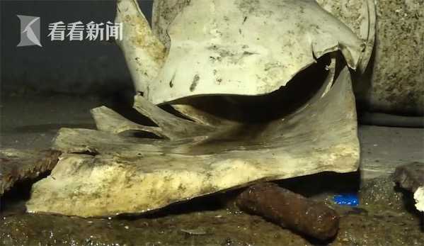 女子商场滑倒小朋友,6岁女童在商场被故意绊倒后续